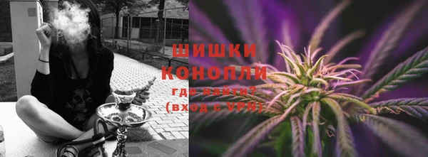 дживик Верхний Тагил