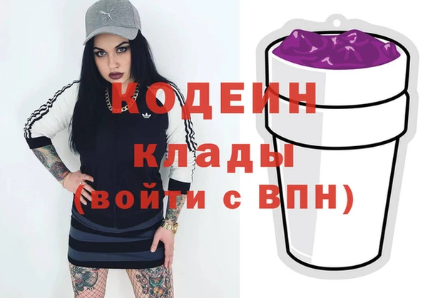 дживик Верхний Тагил