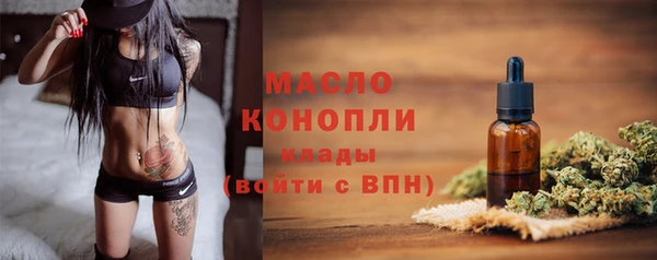 дживик Верхний Тагил
