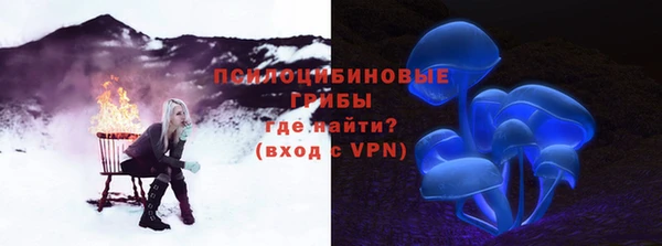mdpv Володарск