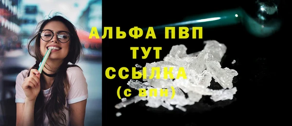 дживик Верхний Тагил