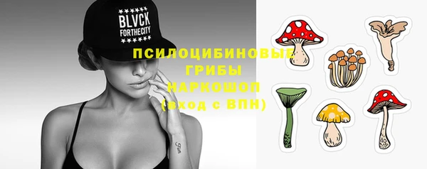 дживик Верхний Тагил