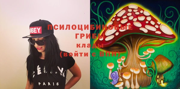 дживик Верхний Тагил
