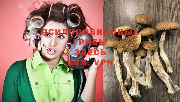 дживик Верхний Тагил