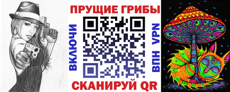 купить   Карабаново  Псилоцибиновые грибы мицелий 