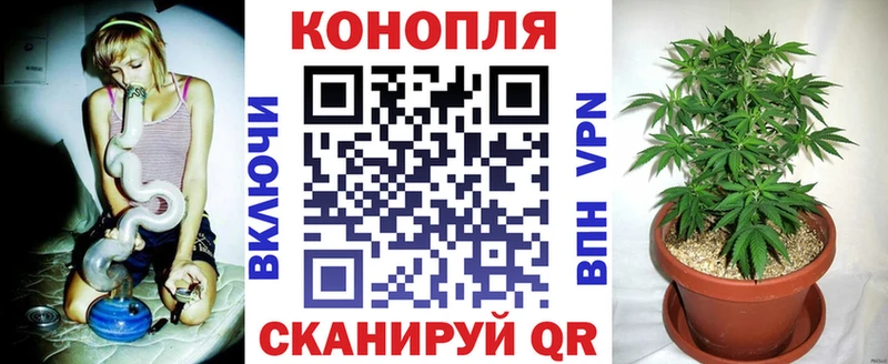 Каннабис индика  OMG ссылки  Карабаново 